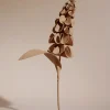 Polène Blume Orki< Blumen Aus Leder