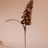 Polène Blume Orki< Blumen Aus Leder