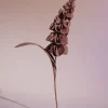 Polène Blume Orki< Blumen Aus Leder
