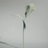 Polène Blume Pili< Blumen Aus Leder