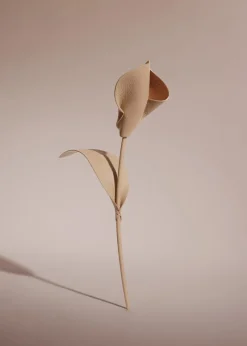 Polène Blume Pili< Blumen Aus Leder