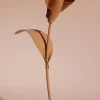 Polène Blume Pili< Blumen Aus Leder