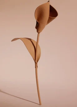 Polène Blume Pili< Blumen Aus Leder