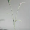 Polène Blume Touka< Blumen Aus Leder