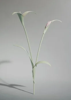 Polène Blume Touka< Blumen Aus Leder