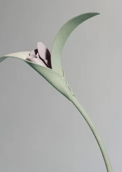 Polène Blume Touka< Blumen Aus Leder