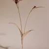 Polène Blume Touka< Blumen Aus Leder