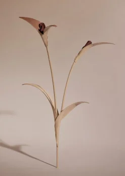 Polène Blume Touka< Blumen Aus Leder