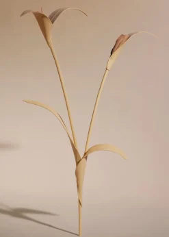 Polène Blume Touka< Blumen Aus Leder