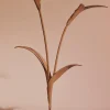 Polène Blume Touka< Blumen Aus Leder