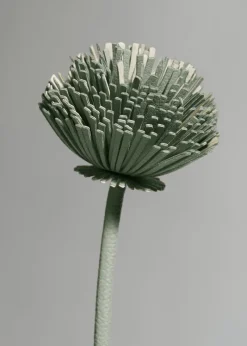 Polène Blume Tul< Blumen Aus Leder