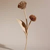 Polène Blume Tul< Blumen Aus Leder