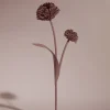 Polène Blume Tul< Blumen Aus Leder