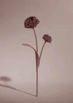 Polène Blume Tul< Blumen Aus Leder