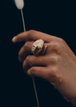 Polène Ring Eroz< Ringe